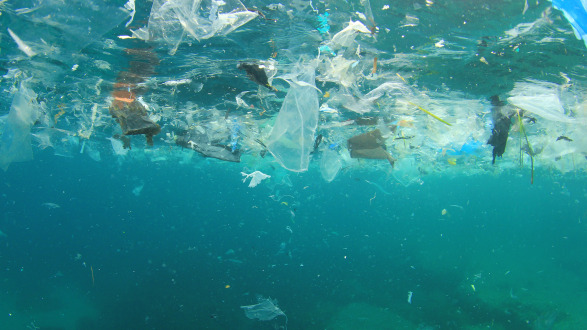 Der Ozean ist voll von Plastikmüll.